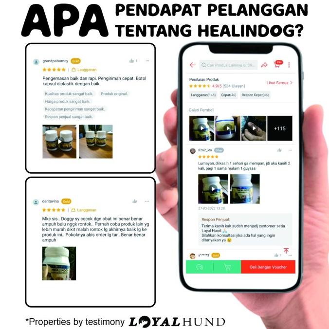 VITAMIN BULU ANJING RONTOK DAN KUSAM OBAT ANJING UNTUK BULU RONTOK DOG