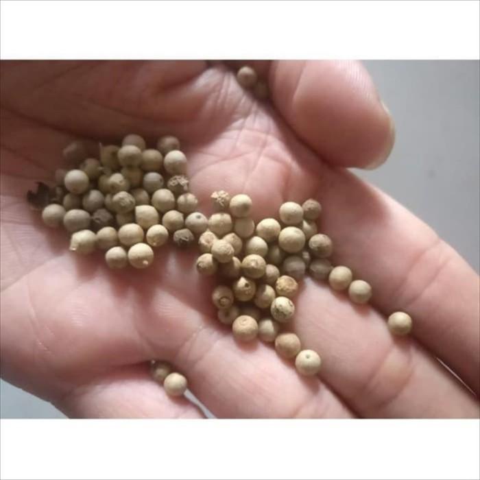 

Lada Putih Biji / Whole Pure White Pepper 500 GR Best Seller