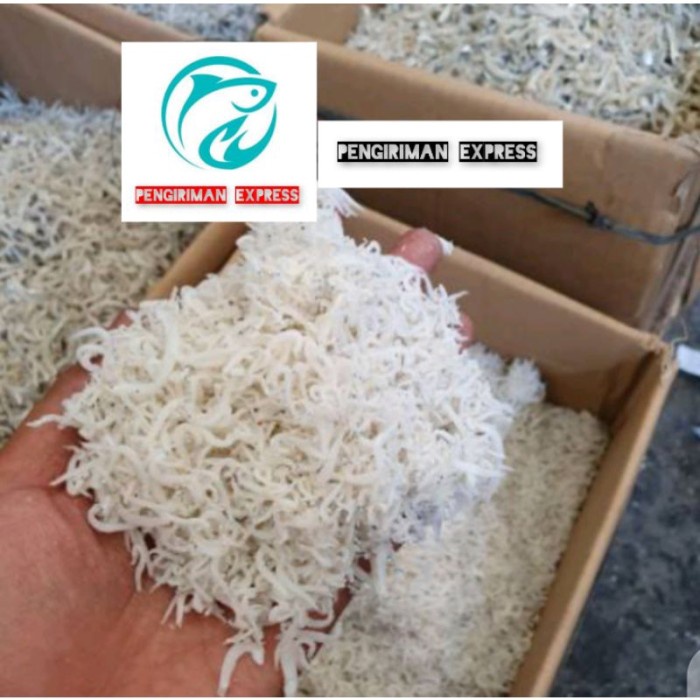 

Ikan Asin Teri Nasi Medan Size,Kecil-1Kg Khr