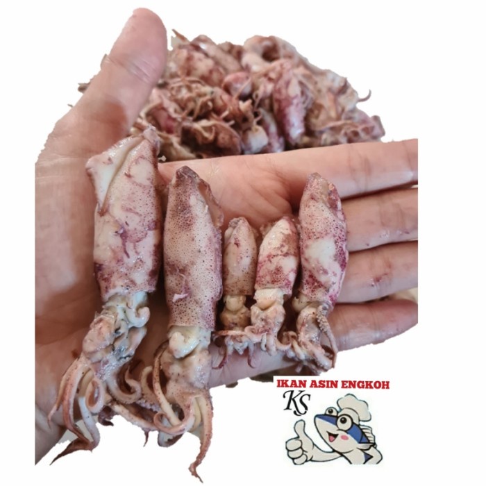 

Ikan Asin Cumi Asin Sotong Frozen/Beku 1000Gr 1Kg