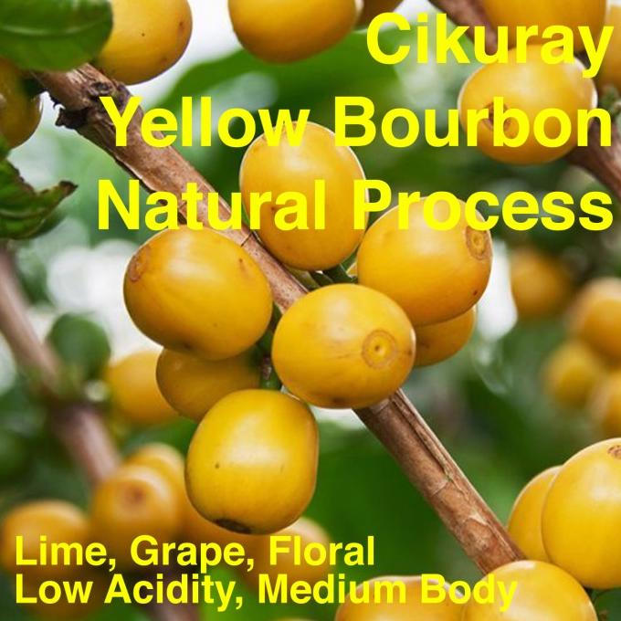 

Kopi Arabika Garut Cikuray Yellow Bourbon Natural 250gr Papandayan