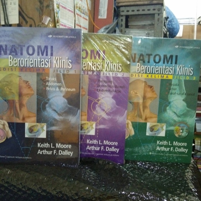 

Ori-1 Set Anatomi Berorientasi Klinis Keith L Moore Edisi 5 Jilid1,2,3