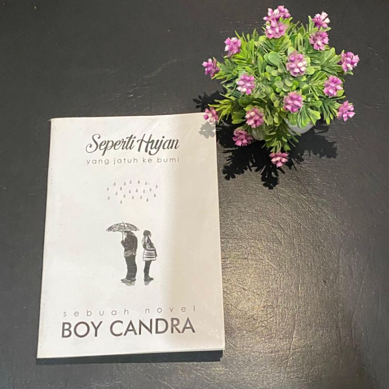 Novel Seperti Hujan yang Jatuh ke Bumi - Boy Candra