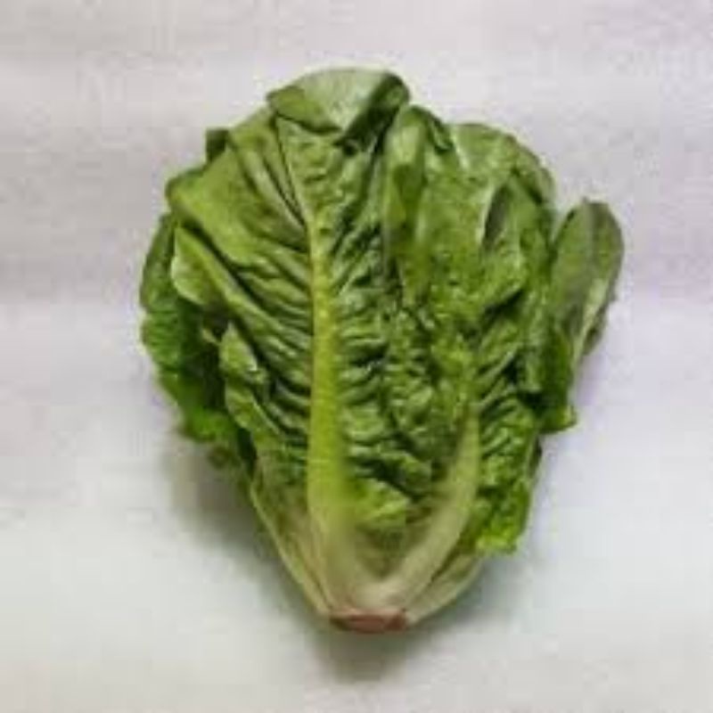 

Selada Romane 250gr - Bakul Sayur Bandung