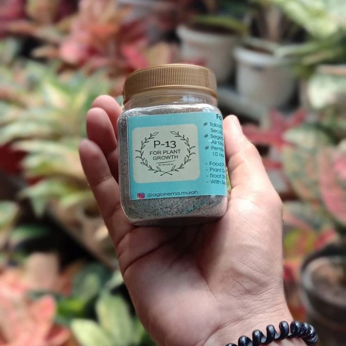 Promo Pupuk P13 Om Justin Kemasan 200Ml