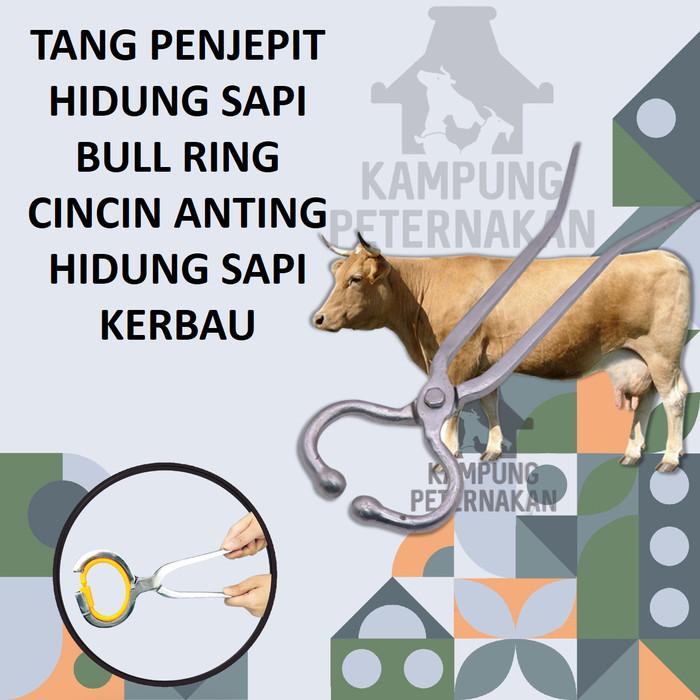 Tang Penjepit Hidung Sapi Bull Ring Cincin Anting Hidung Sapi Kerbau