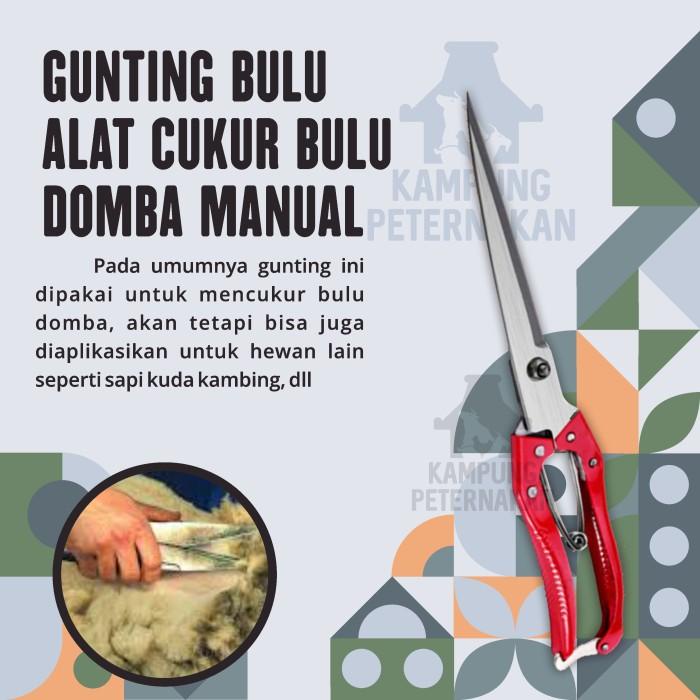 Gunting Bulu Alat cukur Bulu Domba Manual