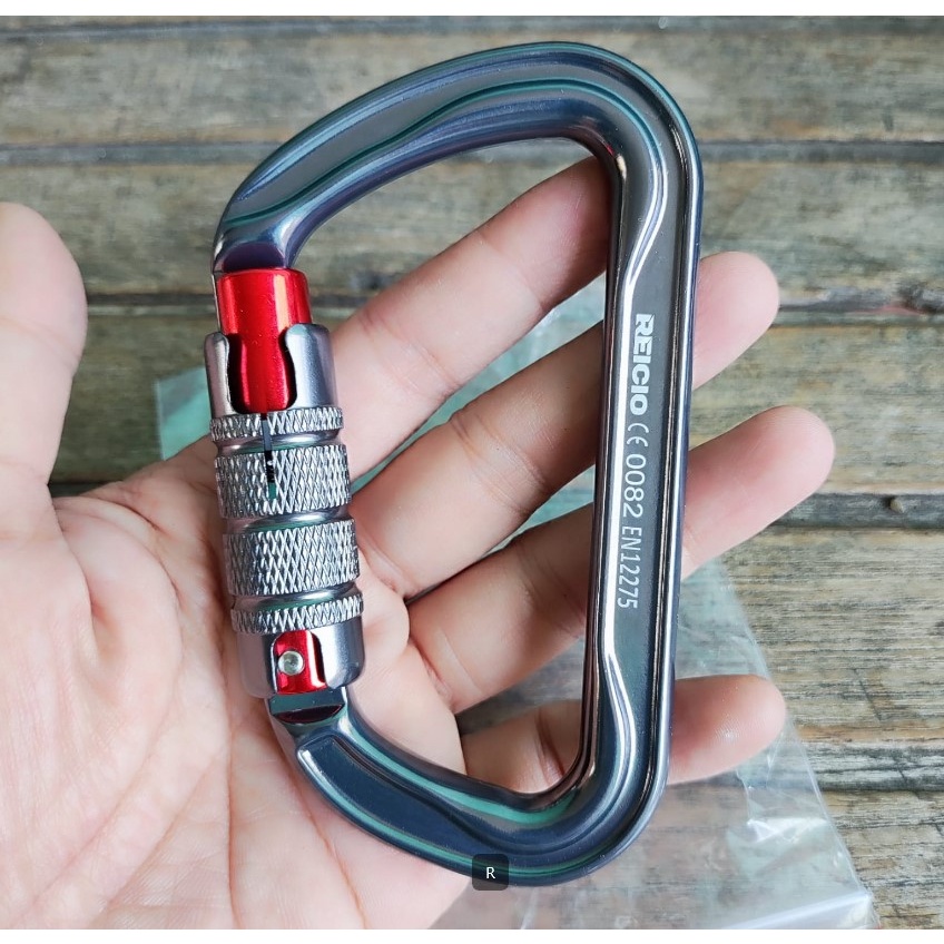 Reicio D-Type Triact-Lo Carabiner, Climbing Rescue 30Kn Alunum