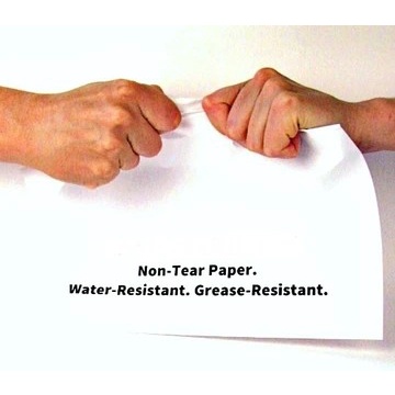 

✨Ready Synthetic Matte Paper Quantac 150 Micron Terbaru