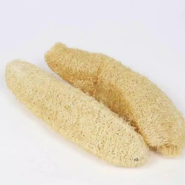 Sabut Oyong / Sikat Oyong Kering / Gabas Loofah Lufah