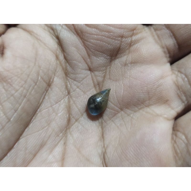 Batu mustika laut jumbo tetes air sir alam asli temuan sepuh kuno antik pusaka