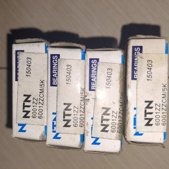 ] bering 6001 zz ntn