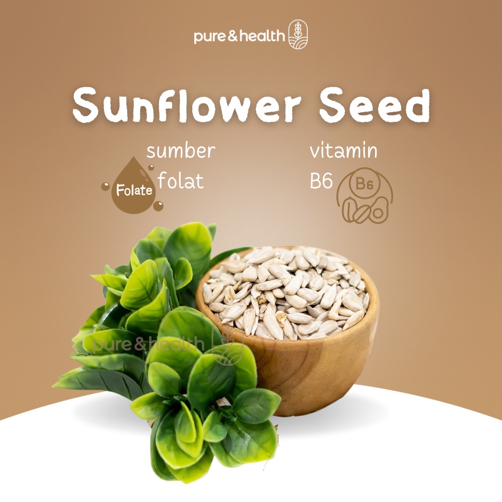

Sunflower Seed 1 Kg Kuaci Biji Bunga Matahari Kupas Natural Food