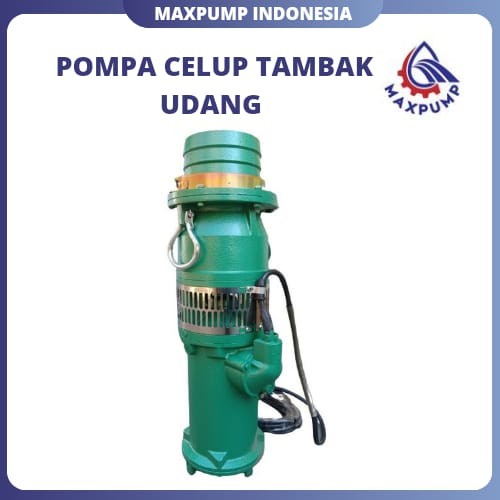 Pompa Air Ikan Koi Pompa Celup Tambak Udang Pompa Submersible 2Inch