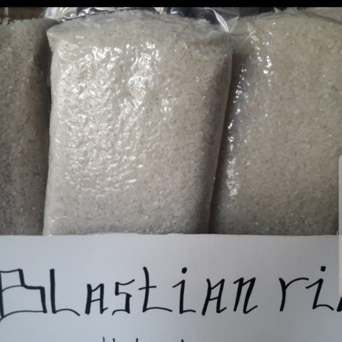 

Pulen Blasto Rice 1Kg