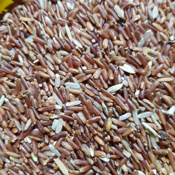 

Pakan Makanan Umpan Ayam Merah Repack 1 Kg