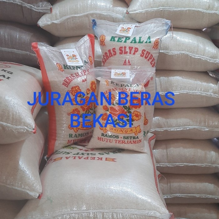 

Medium Setra Ramos 3Kg