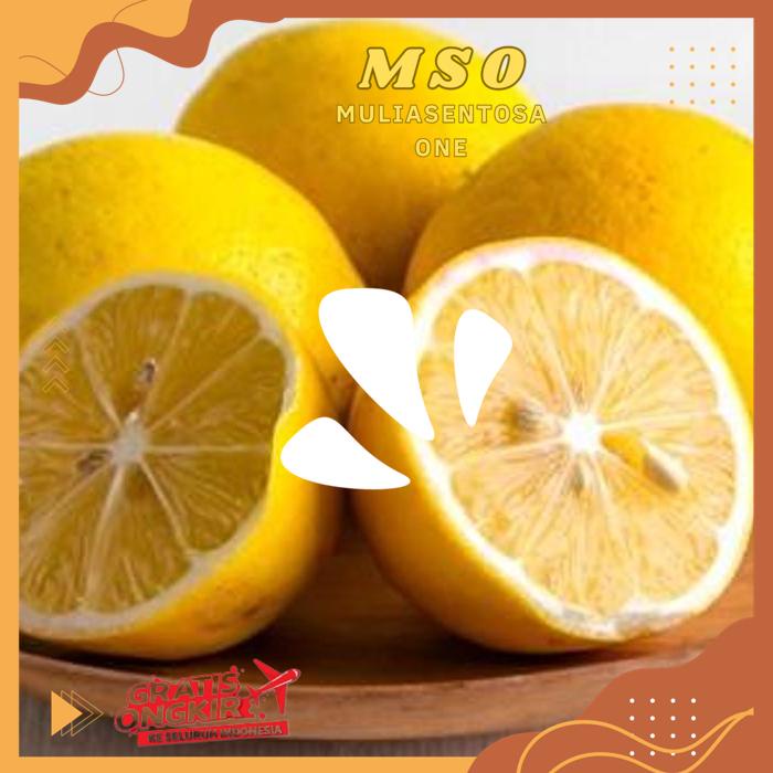 

LEMON LOKAL 180 - 200 GR PRODUK BEST PRODUK !!