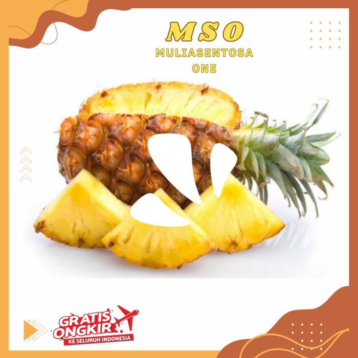 

NANAS MADU 1 PCS ( FRESH HONEY PINEAPPLE ) THE BEST SELLER !!