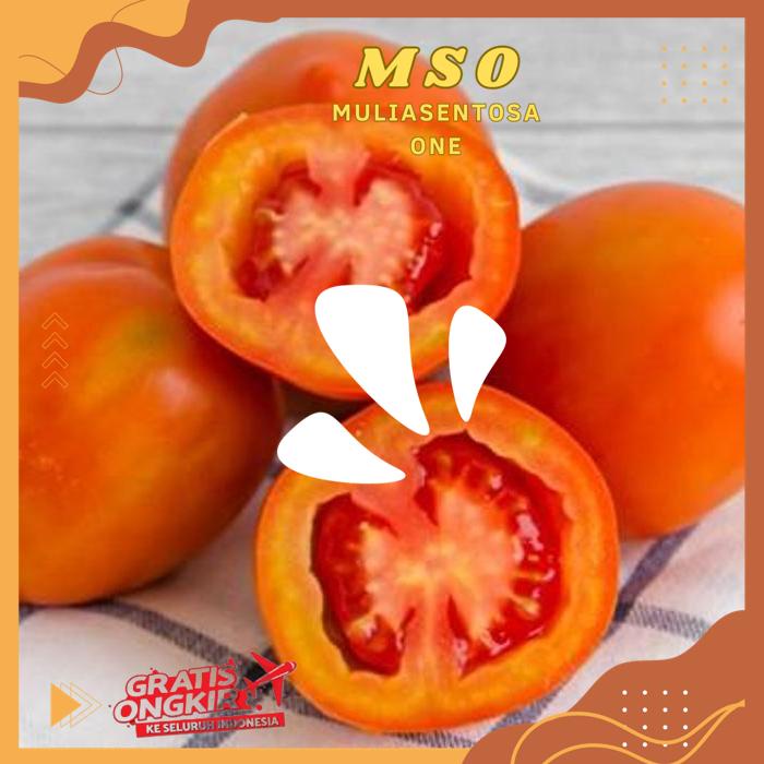 

TOMAT MERAH ( RED TOMATOES ) 450 - 500 GR PRODUK BAHAN BERKUALITAS TINGGI !!