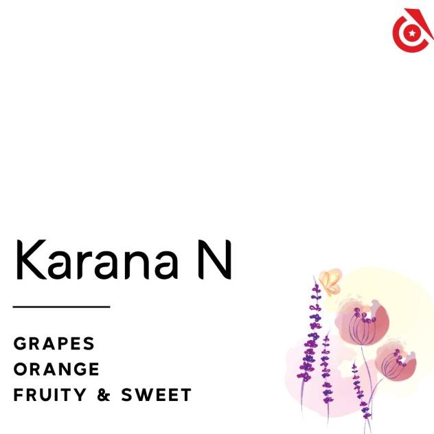 

Sale Bali Karana CM Natural - Instinct Coffee - Biji Kopi