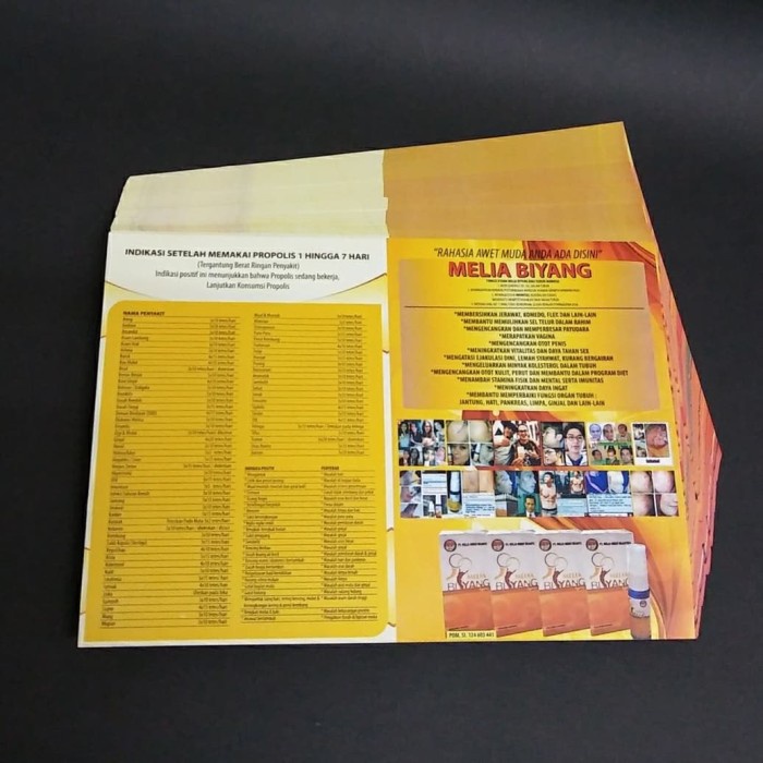 

Cetak Brosur Flyer A4 (21x29.7cm) Full Color 2 sisi 1 rim