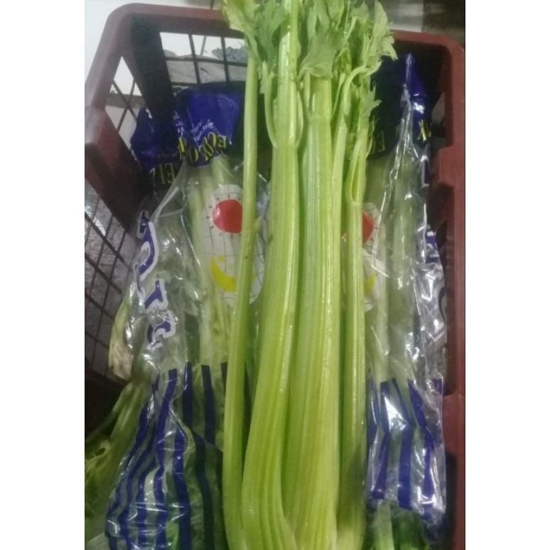 

Ready celery stick import / seledri stick import segar 1 kg