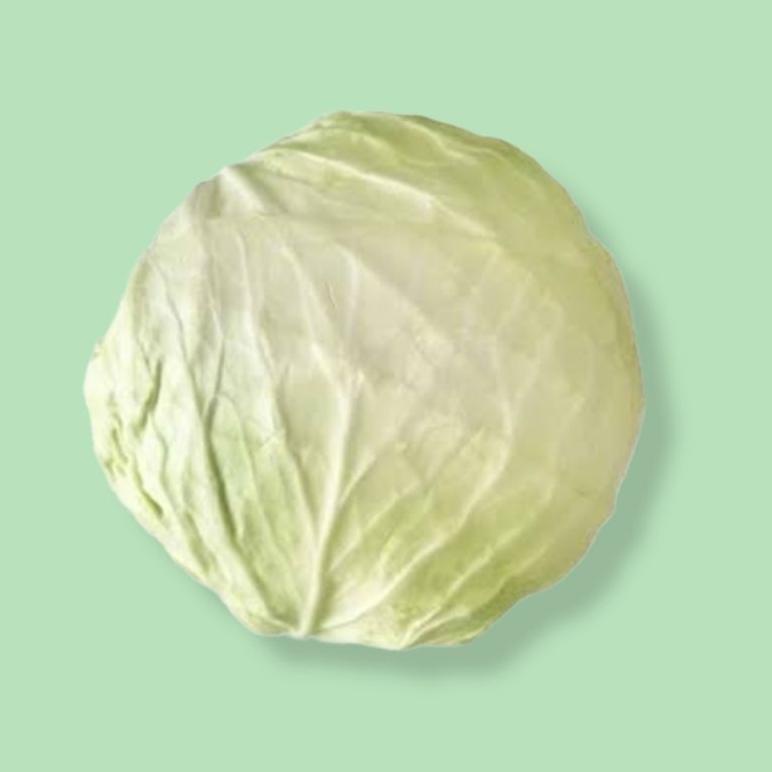 

Ready Sayuran Kol / Kubis per satuan (1 - 1,5kg)