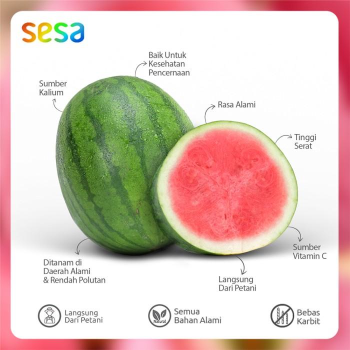 

Semangka Merah Non Biji Fresh 4.5 - 5 Kg Best Seller