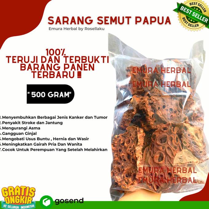 

New SARANG SEMUT ASLI PAPUA 500 Gr/Obat Kanker Tumor/Obat Stroke/Obat Asma !