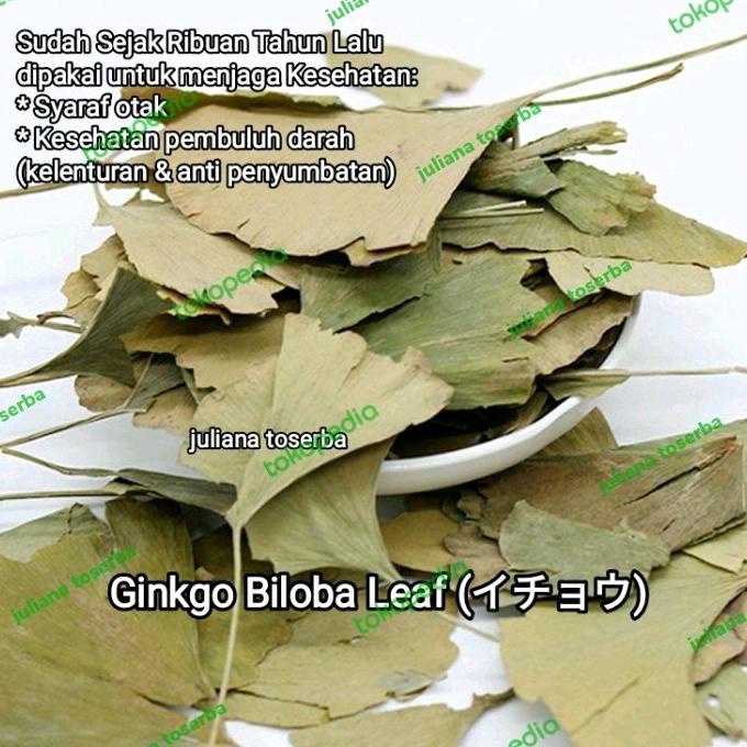 

Update 100Gr Teh Herbal Gingo Giloba Ginkgo Biloba Leaf Ginko Daun Pat Ko !