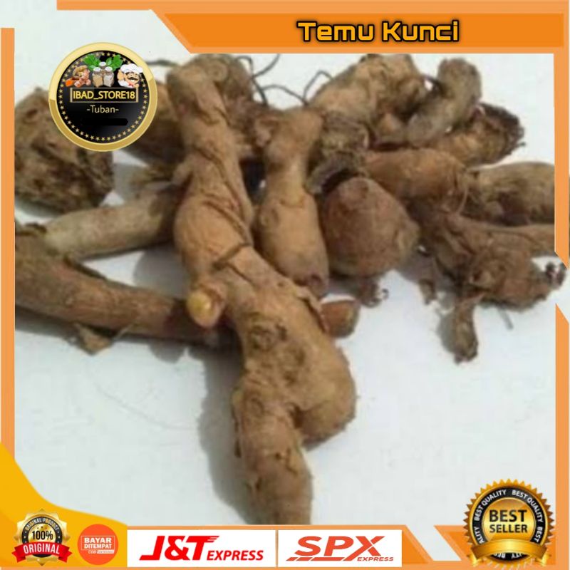 

Temu kunci Murah 250gr