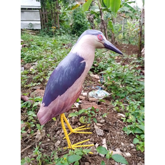 Promo Jontrot Patung Koak Abu