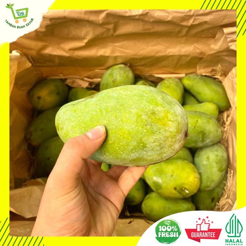 Ready BUAH MANGGA HARUM MANIS SUPER 1 KG (KHUSUS SAMEDAY DAN INSTAN)