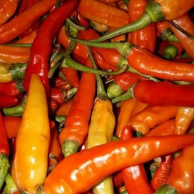 

Ready Cabe Rawit 100-500gram | Cabai Segar | naga_exspress