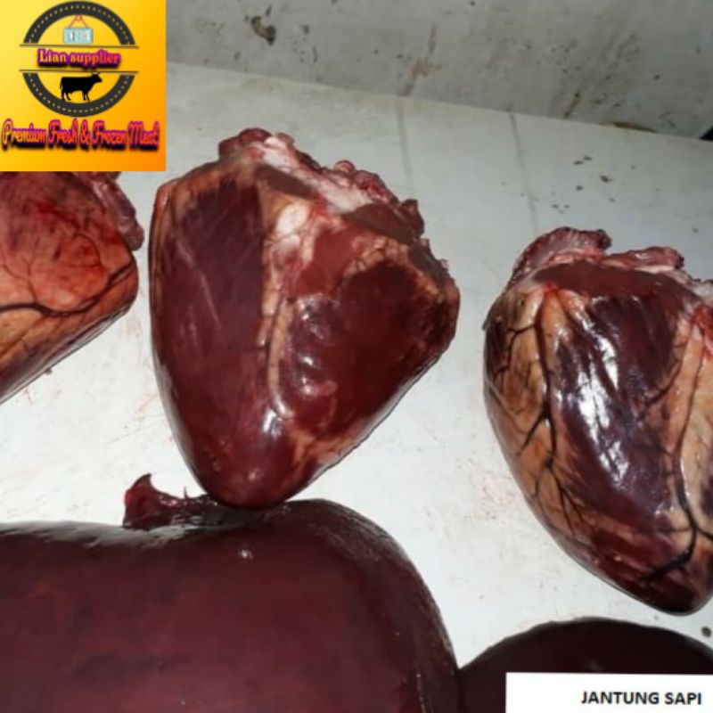 

jantung sapi lokal