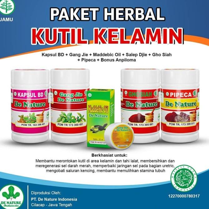 

Obat Kutil Kelamin Herbal De Nature Original