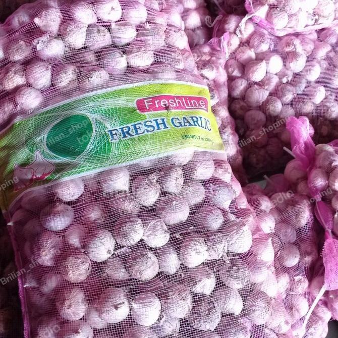 Bawang Putih Tunggal Lanang 1 KG JUMBO kualitas PERTAMAXXX