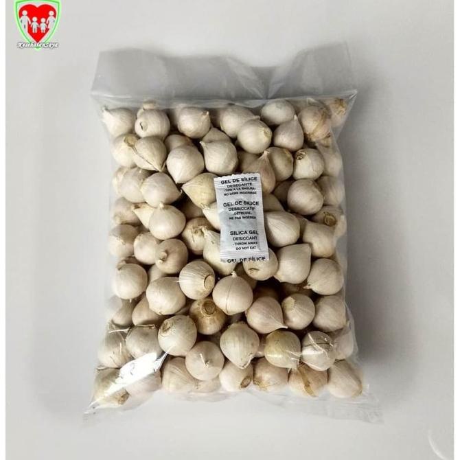 

Bawang Putih Tunggal / Lanang 500 gram Super Besar Import