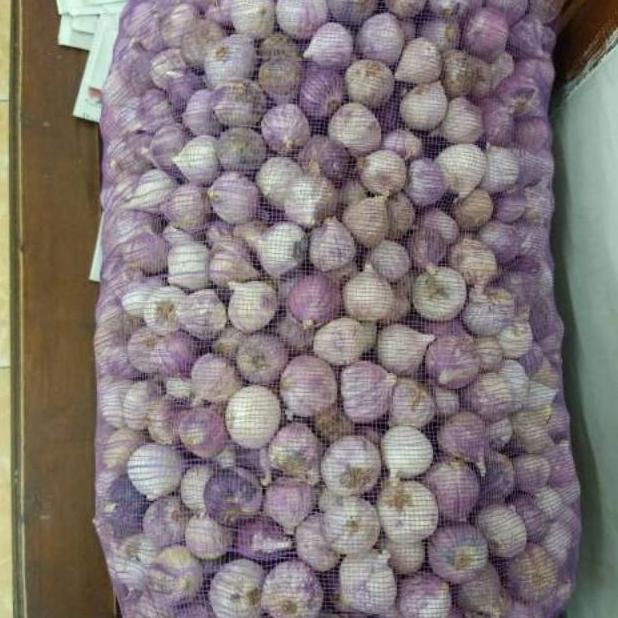 

Bawang Putih Tunggal/Bawang Lanang Tunggal Import Jumbo 500GR