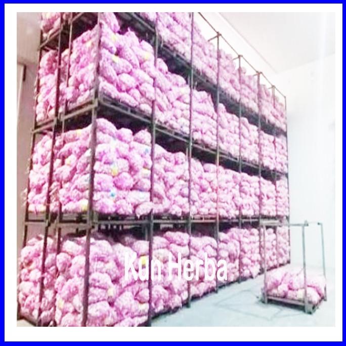 

BAWANG PUTIH TUNGGAL 500 GR - BAWANG PUTIH LANANG