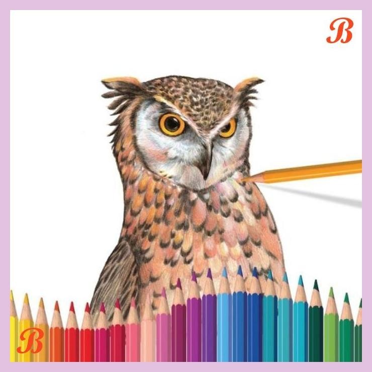 

| KG | FABER CASTELL 48 CLASSIC COLOUR PENCILS PENSIL WARNA