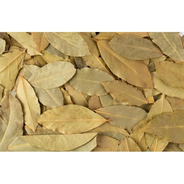 

Termurah [ 50 gr : Paper Pouch ] Dried Bay Leaves - Rempah Daun Salam Kering