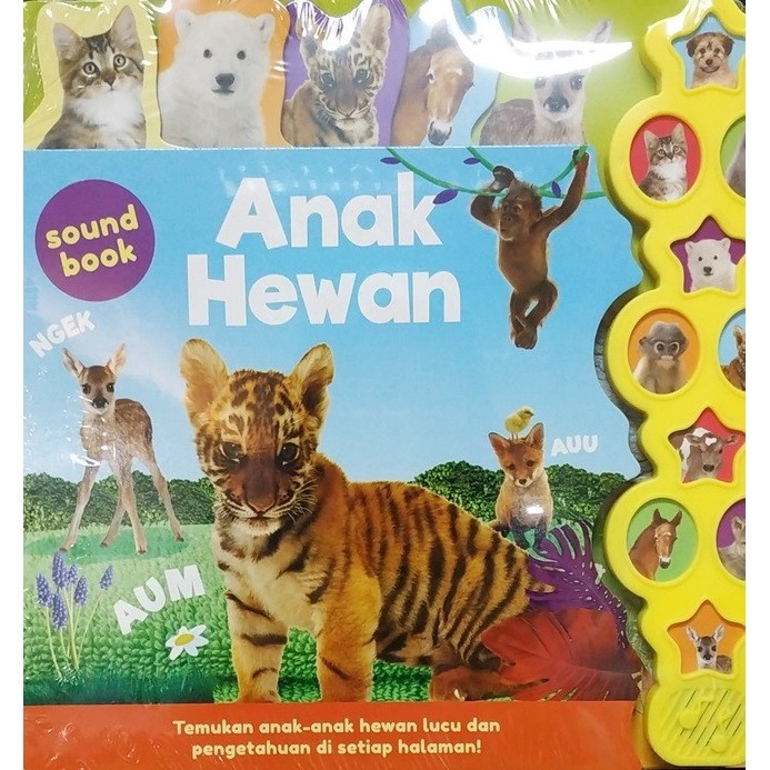 [COD] Buku Anak Big Sound Book: Anak Hewan Terbatas