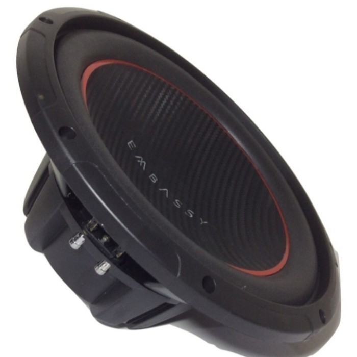 ✅Baru Subwoofer Embassy Es 304S 12 Bass Badak Limited