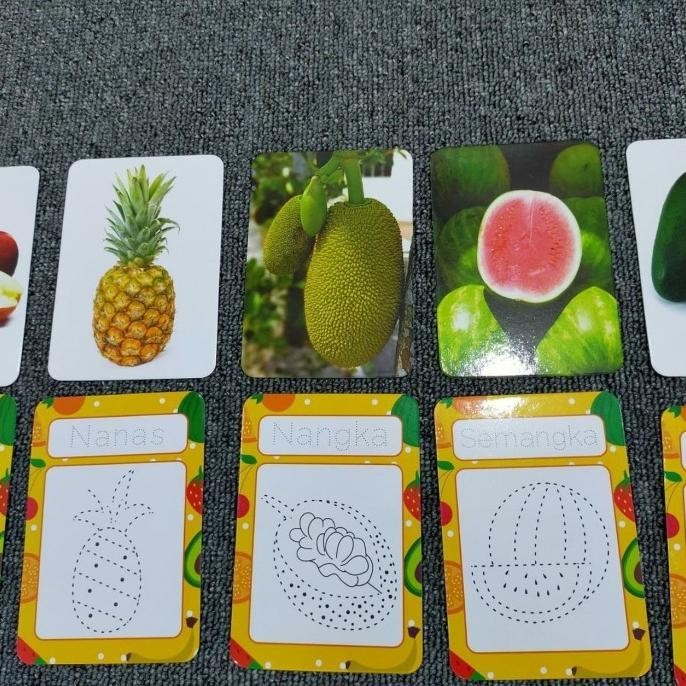 Flashcards WIPE CLEAN Belajar Menggambar Hewan dan Buah Mainan Edukasi peterstorez