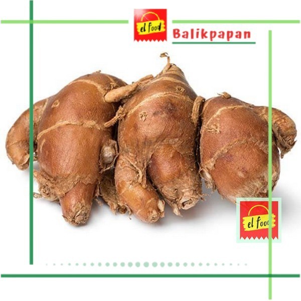 

KENCUR 100gr /ELFOOD/Rempah