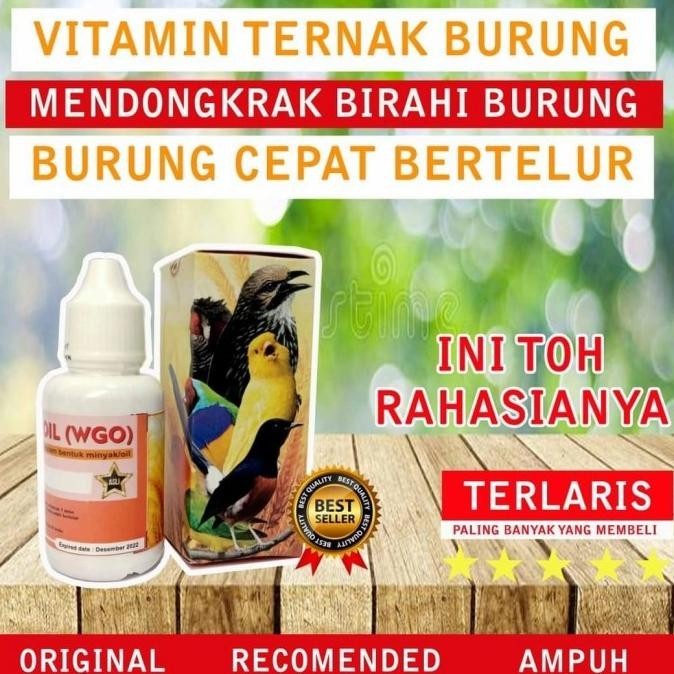 kud WGO VITAMIN TERNAK SEGALA JENIS BURUNG WGO WHEAT GERM OIL