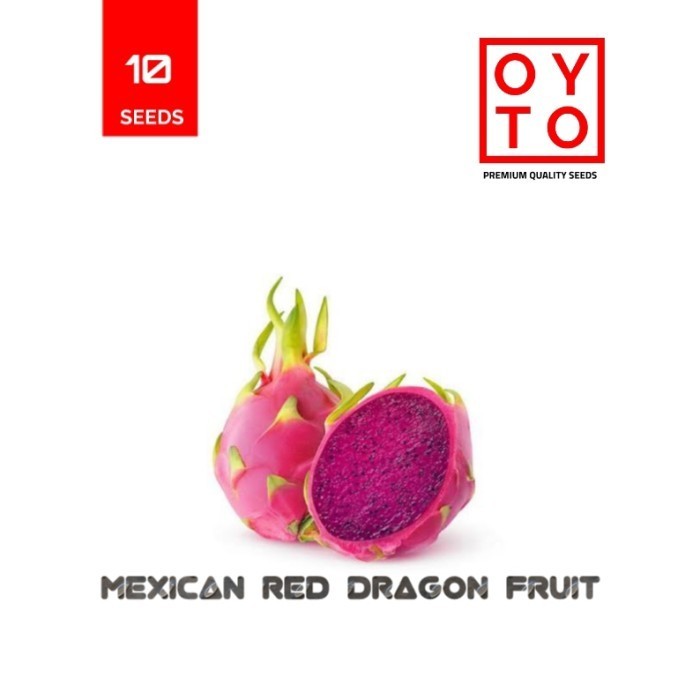 OBBRAALL BENIH BUAH NAGA BIBIT BUAH BENIH TANAMAN