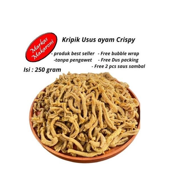 

Terlarisss Kripik usus crispy original 250gr